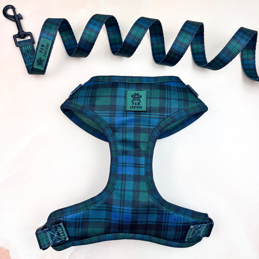 Highland Plaid Adjustable Harness & Lead Bundle