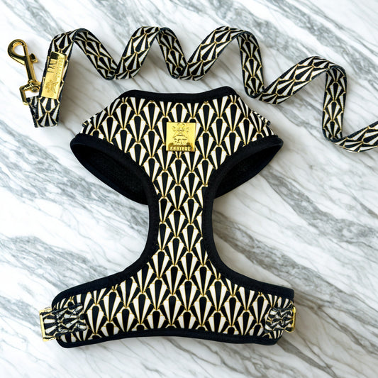 Gatsby Deluxe Adjustable Harness & Lead Bundle