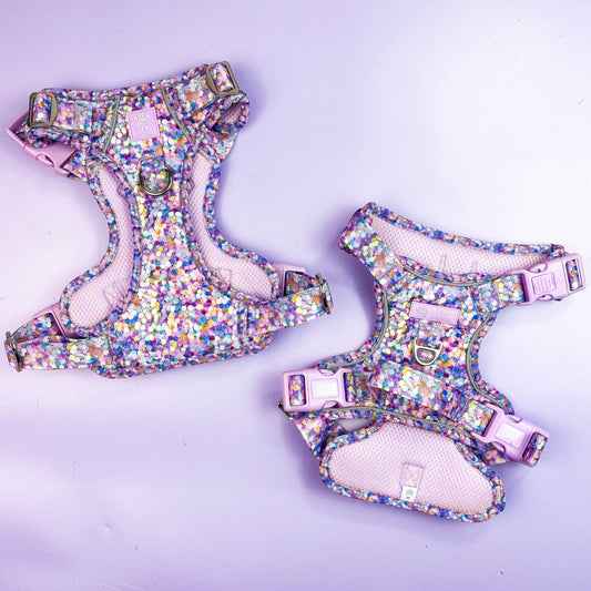 Confetti TrailBlazer Harness