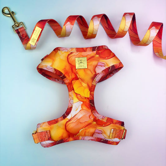 Sunset Agate  Deluxe Adjustable Harness & Lead Bundle