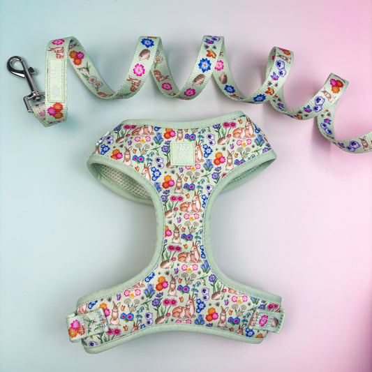 Flora & Fauna Adjustable Harness & Lead Bundle