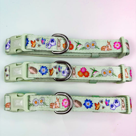 Flora & Fauna Collar