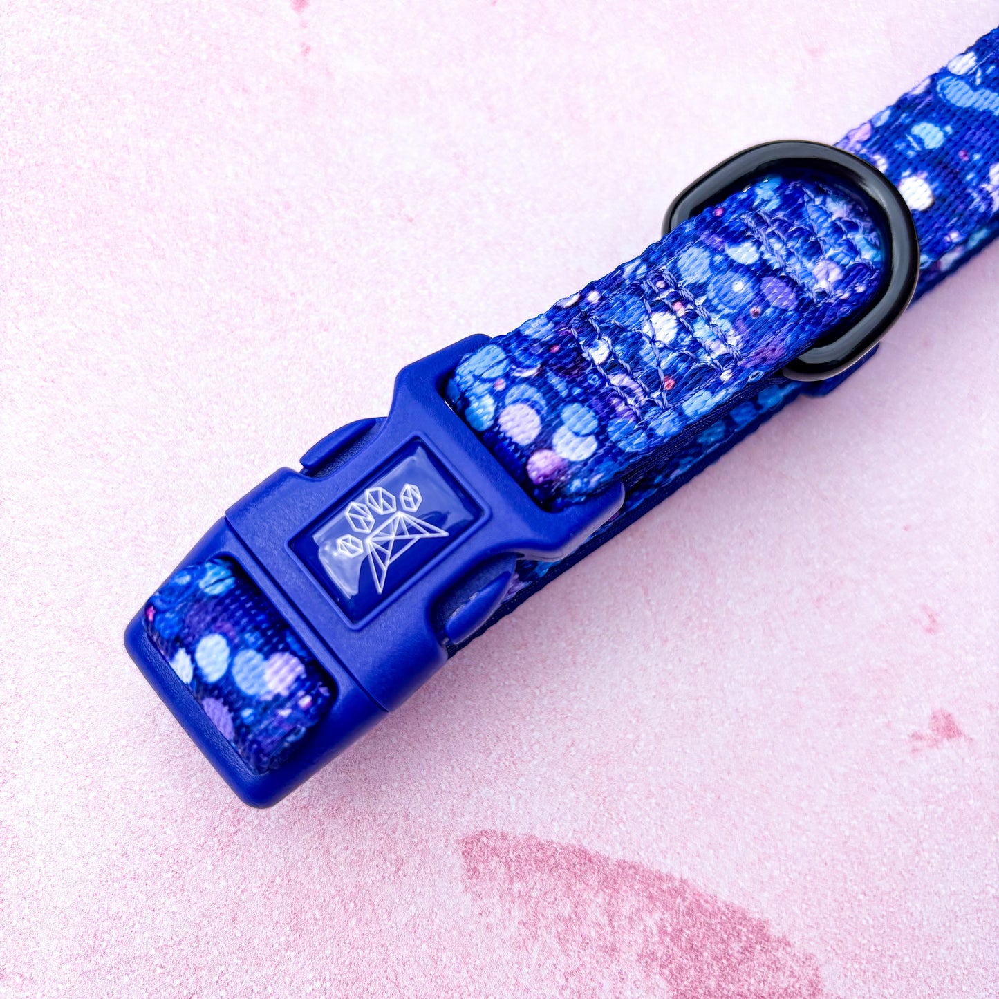 Cosmic Confetti- Collar & Lead Bundle