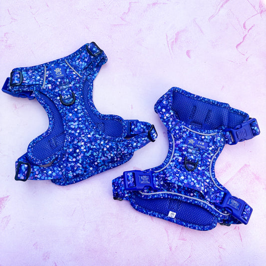 Cosmic Confetti TrailBlazer Harness