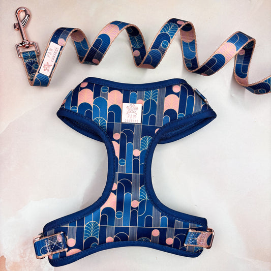 Empire Deluxe Adjustable Harness & Lead Bundle