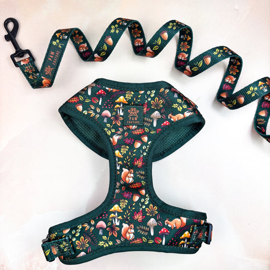 Into The Woods Adjustable Harness & Lead Bundle