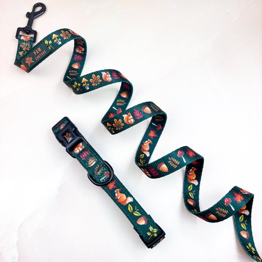 Into The Woods - Collar & Lead Bundle
