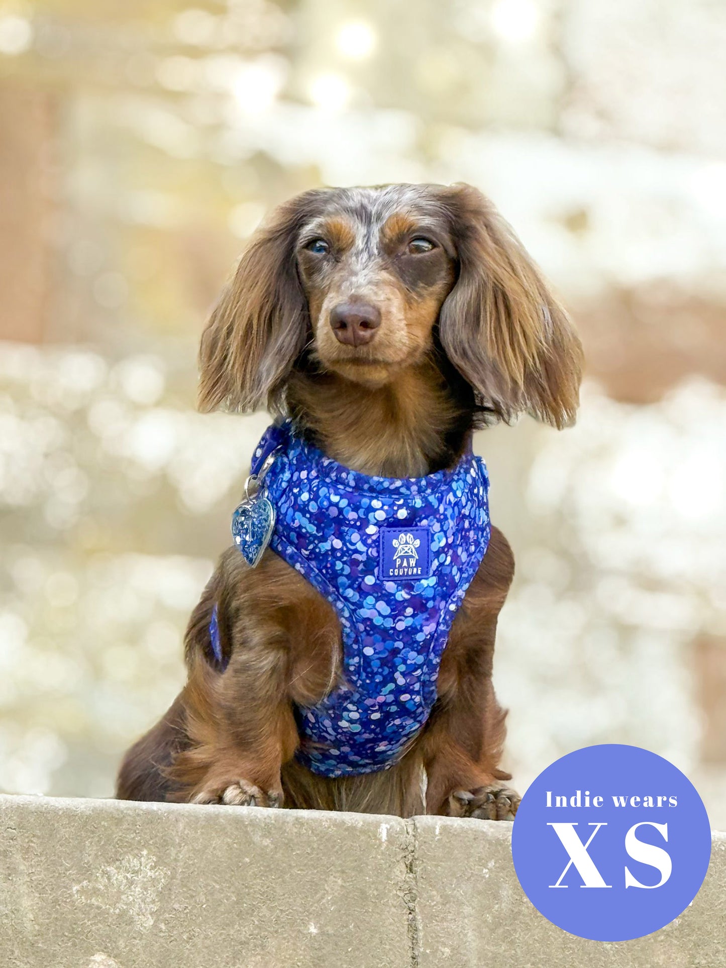 Cosmic Confetti Adjustable Harness