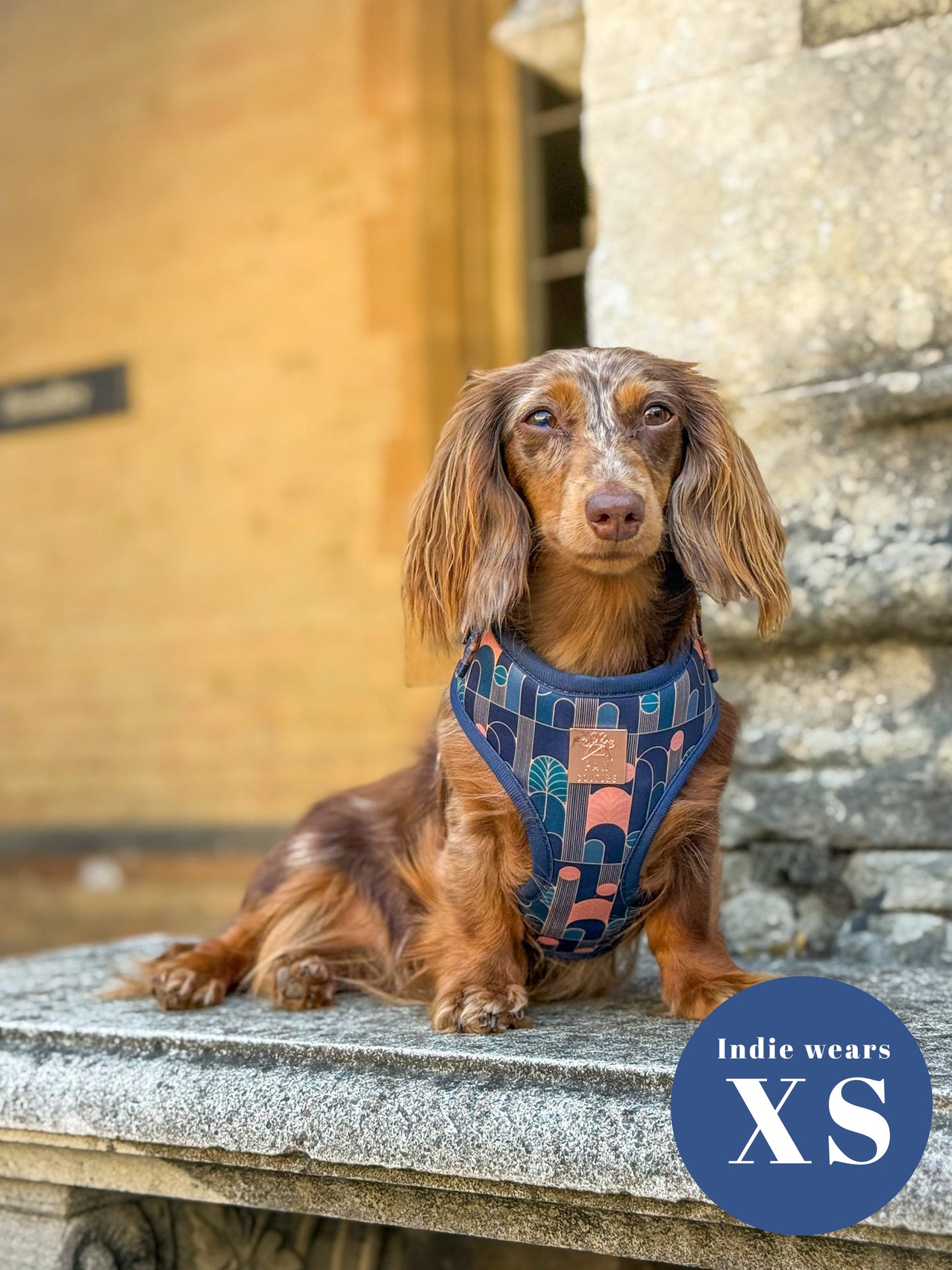 Empire Deluxe Five Piece Walkies Bundle - Save £20
