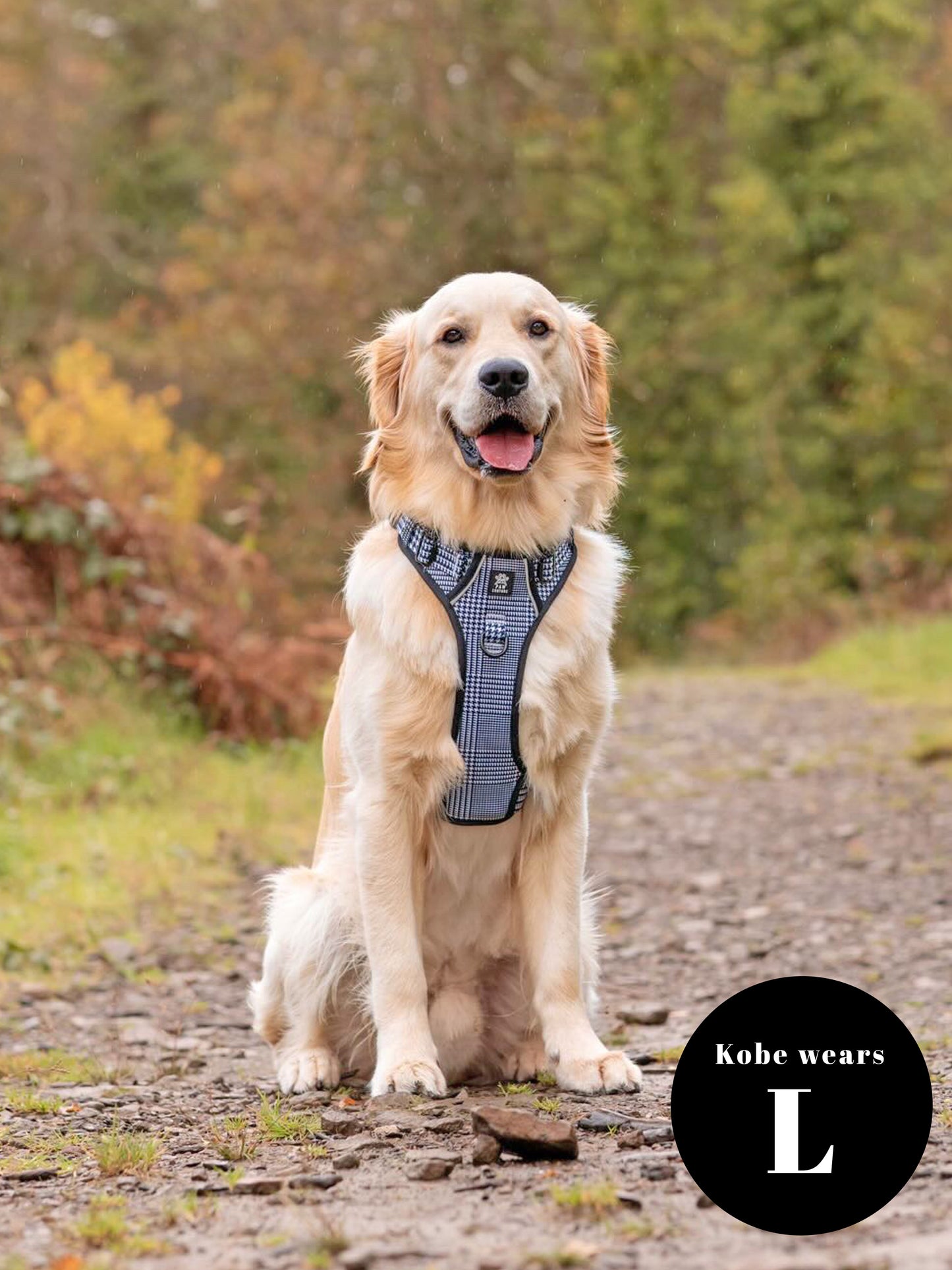 City Houndstooth TrailBlazer Harness & Lead Bundle