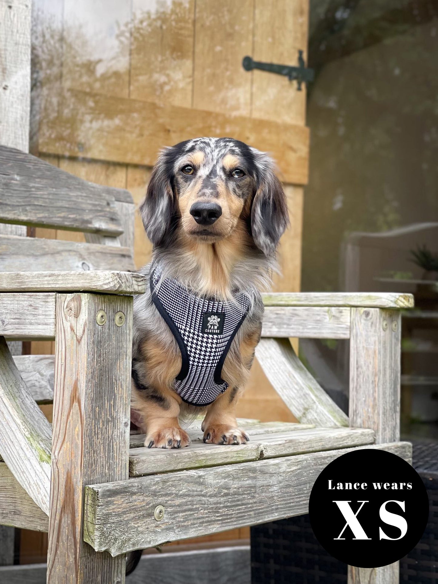 City Houndstooth Five Piece Walkies Bundle - Save £20