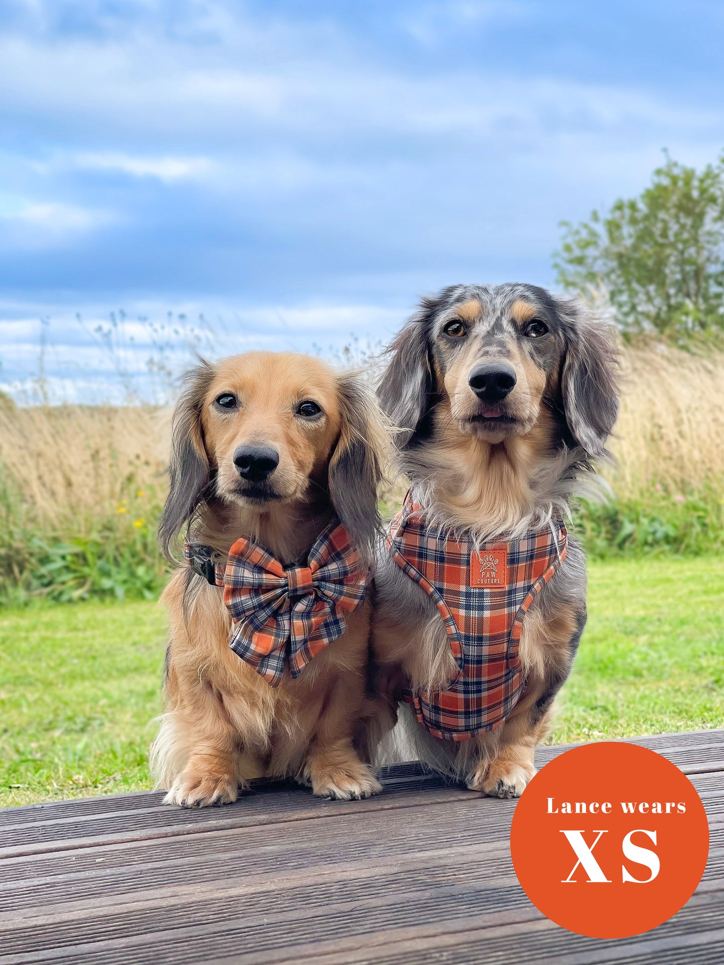 Rustic Plaid Adjustable Harness & Lead Bundle