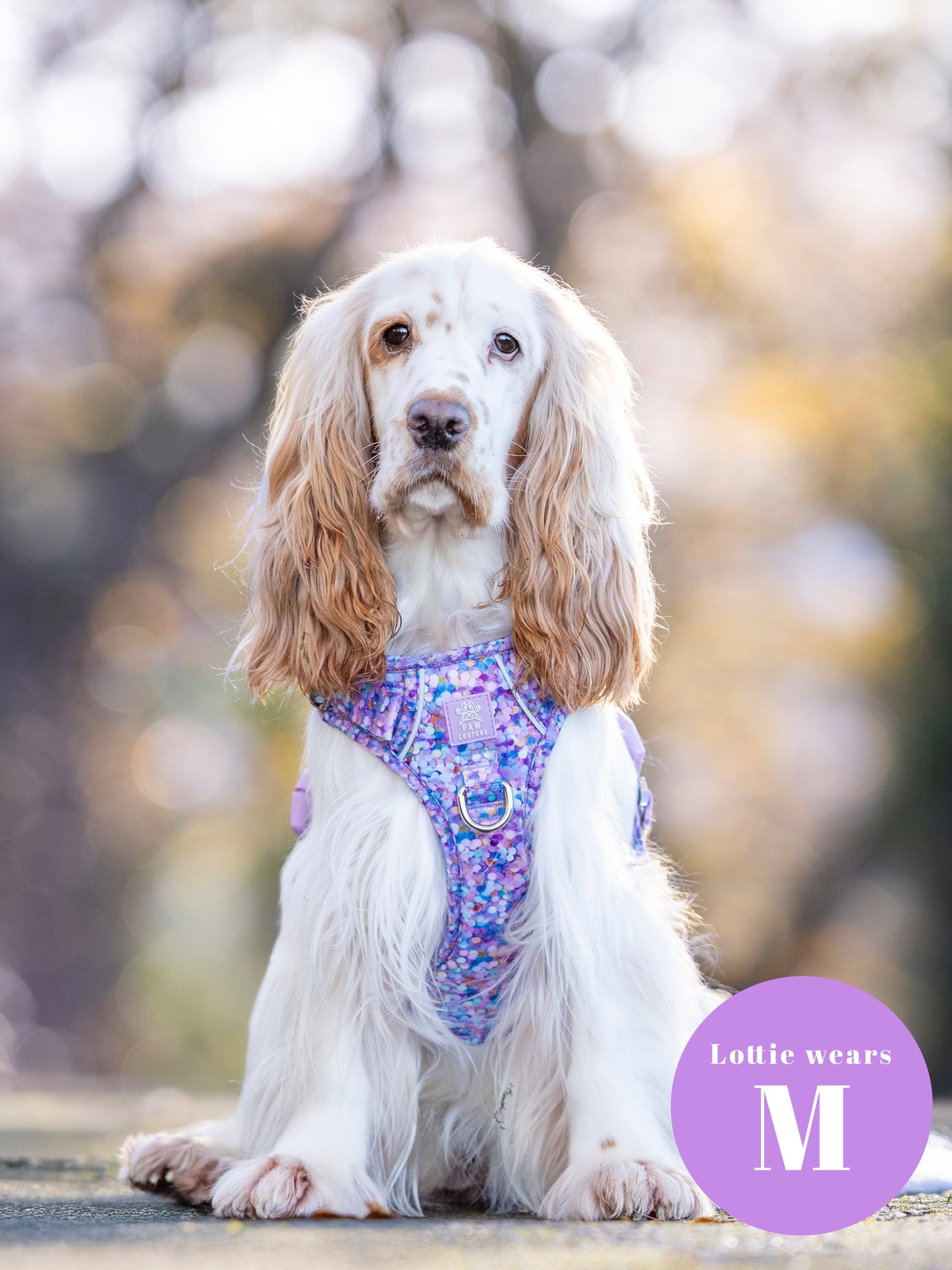 Confetti Five Piece Walkies Bundle - Save £20