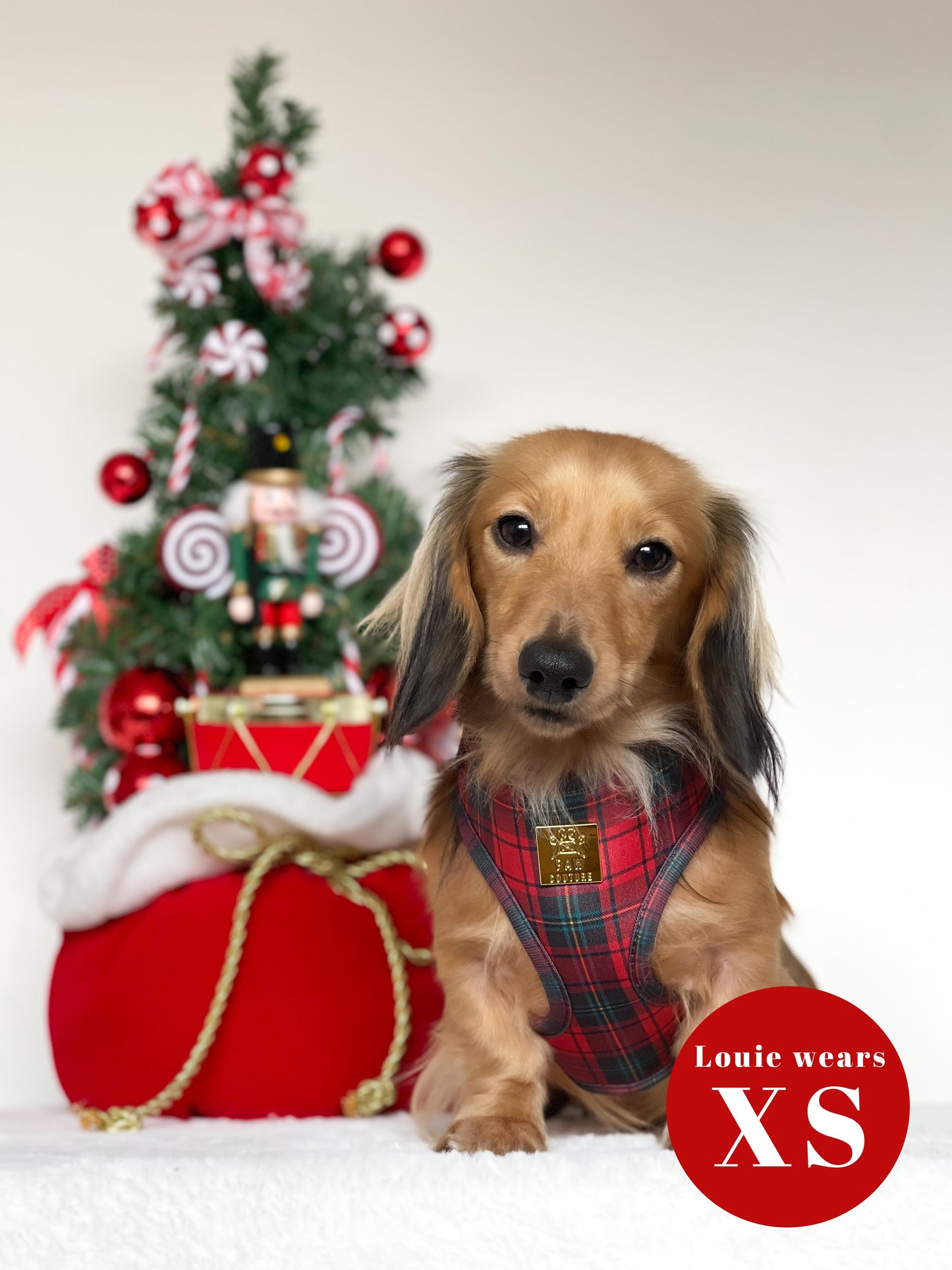 *LESS THAN PERFECT* Tartan Deluxe Adjustable Harness