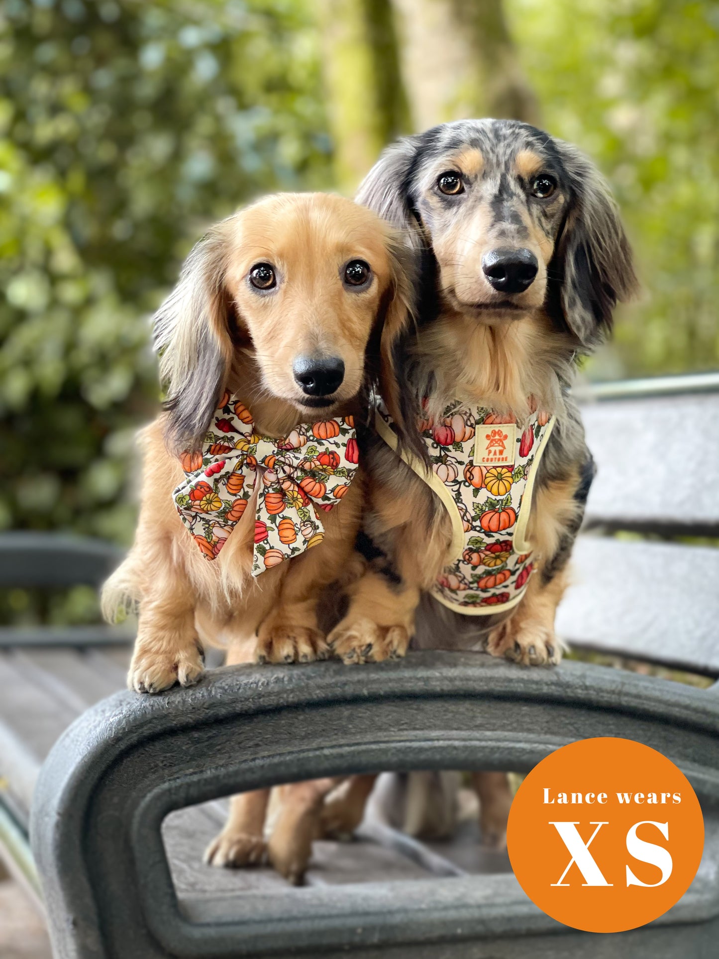 Country Pumpkins Four Piece Walkies Bundle - Save £20