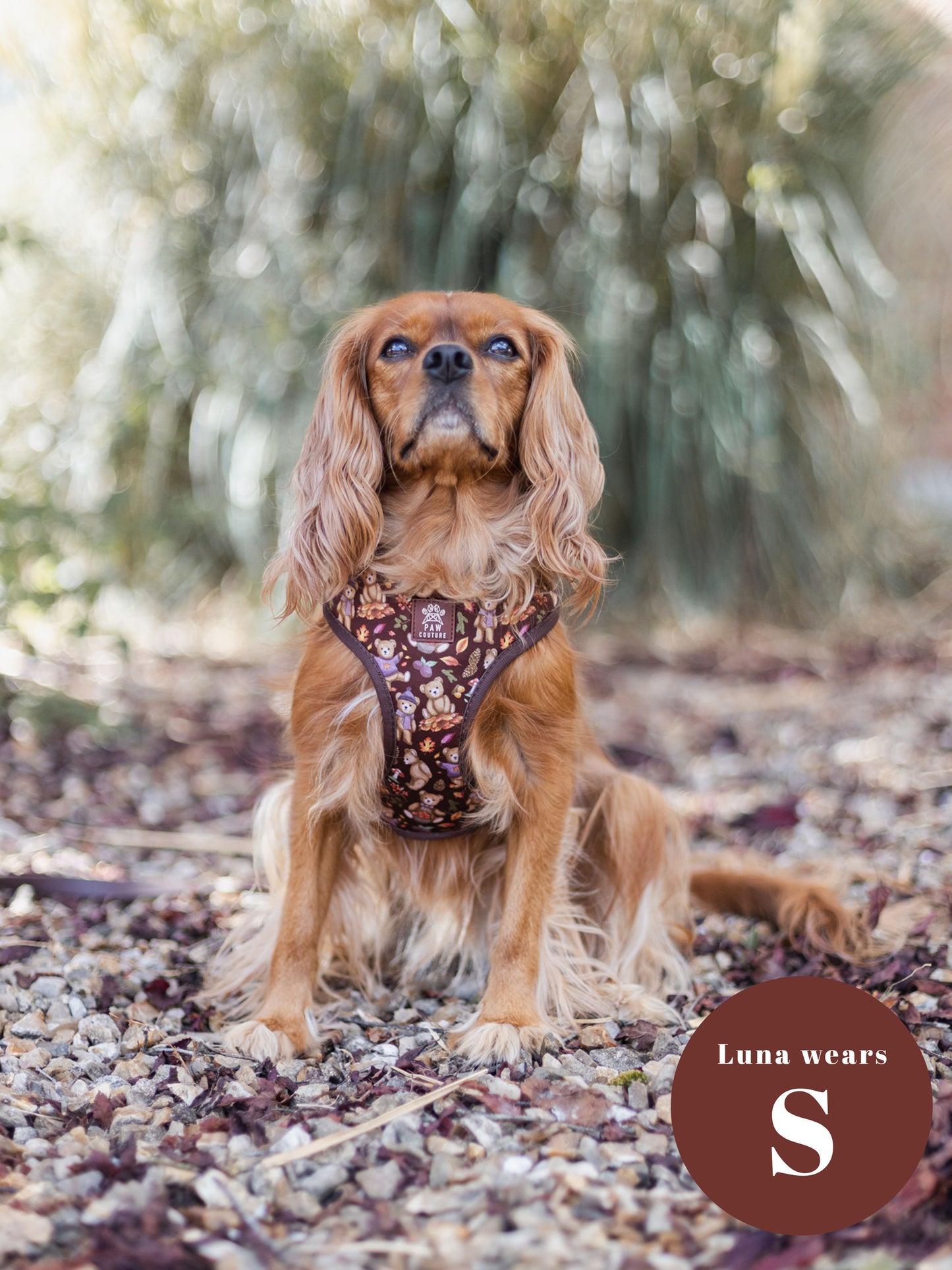 Forest Friends Adjustable Harness & Lead Bundle