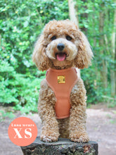 Load image into Gallery viewer, Malibu Sunset Vegan Leather Deluxe Five Piece Walkies Bundle - Save £25

