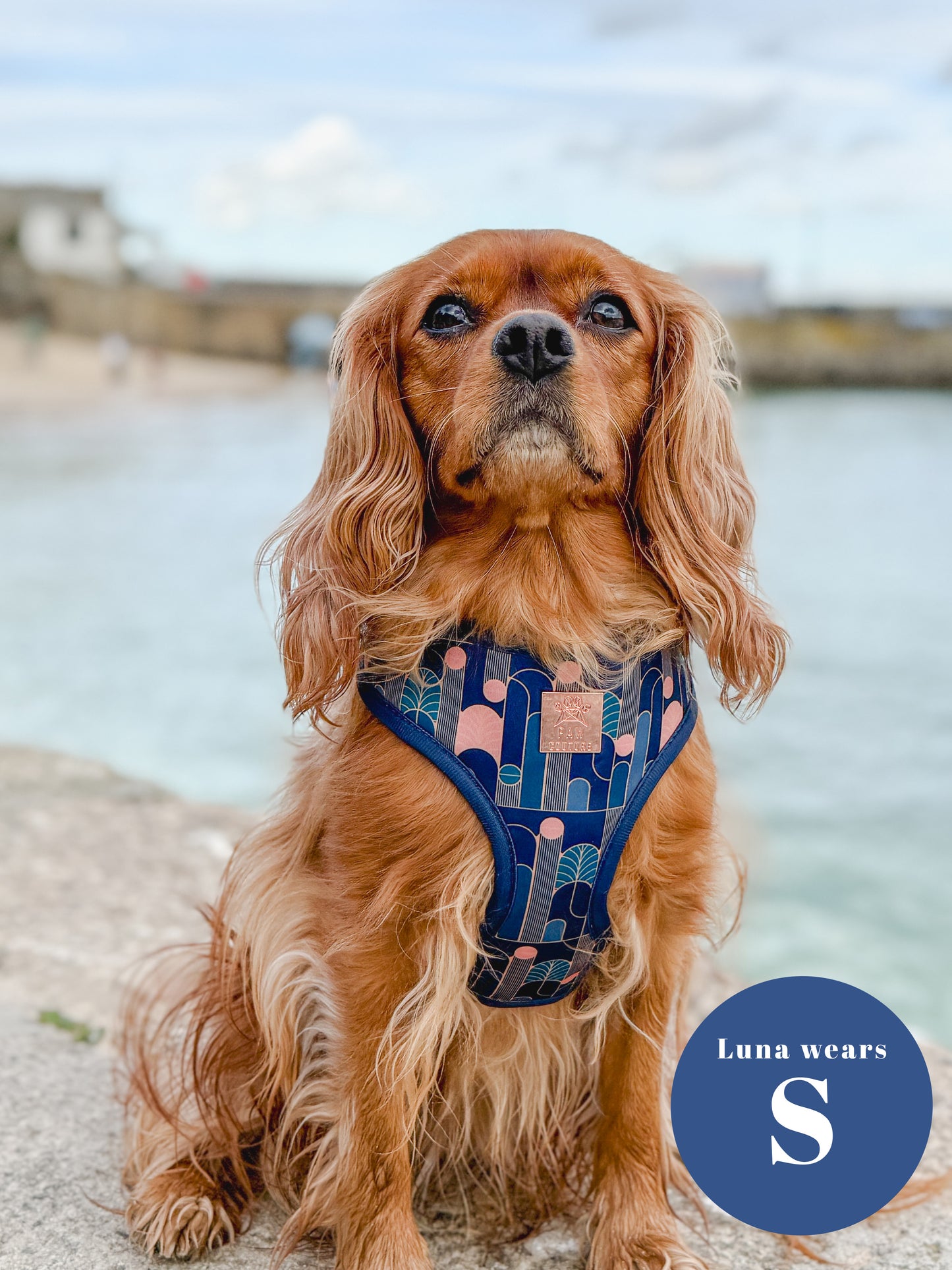 Empire Deluxe Five Piece Walkies Bundle - Save £20
