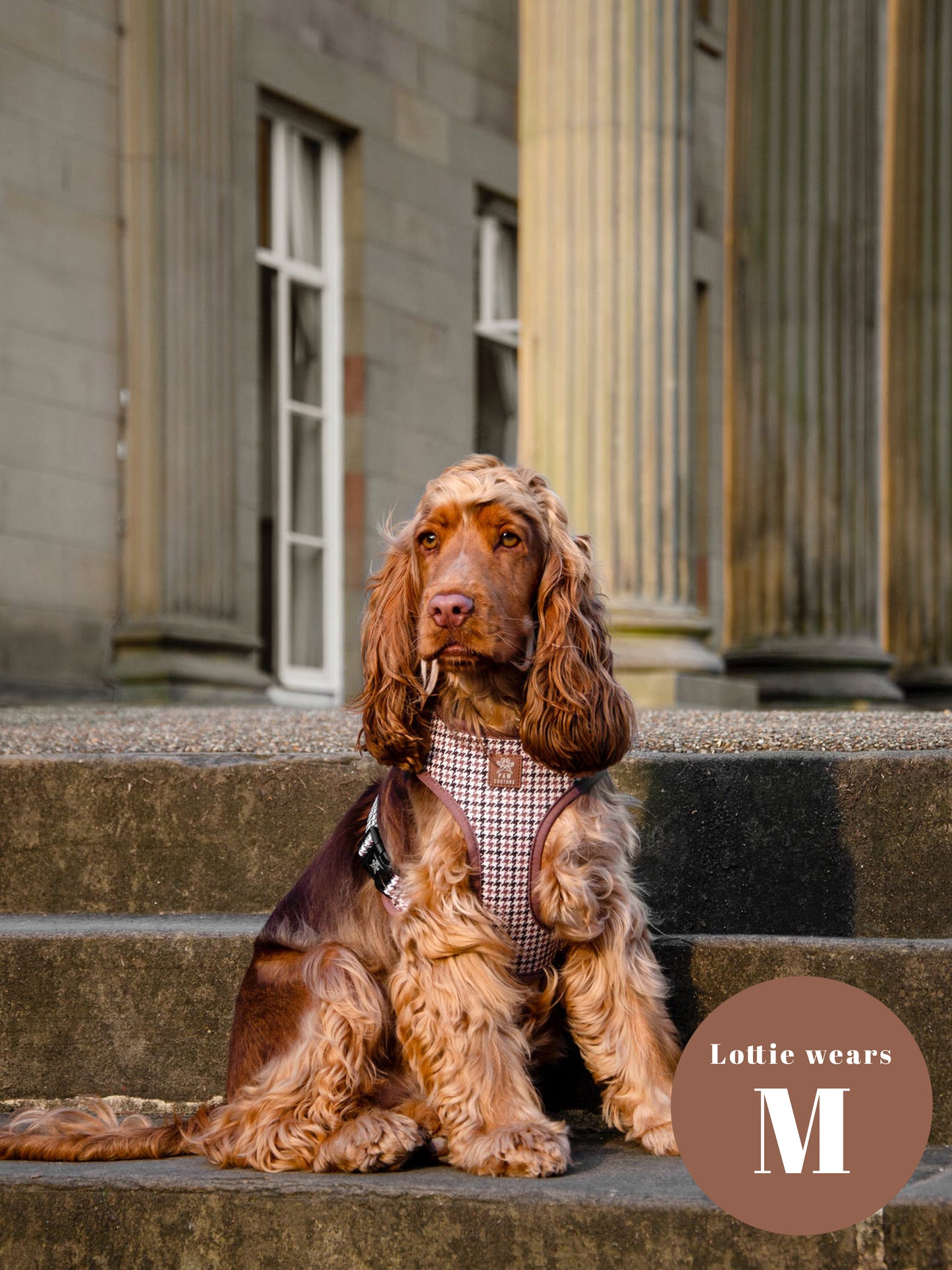 Country Houndstooth Five Piece Walkies Bundle - Save £20