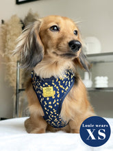 Load image into Gallery viewer, Golden Confetti Deluxe Adjustable Harness
