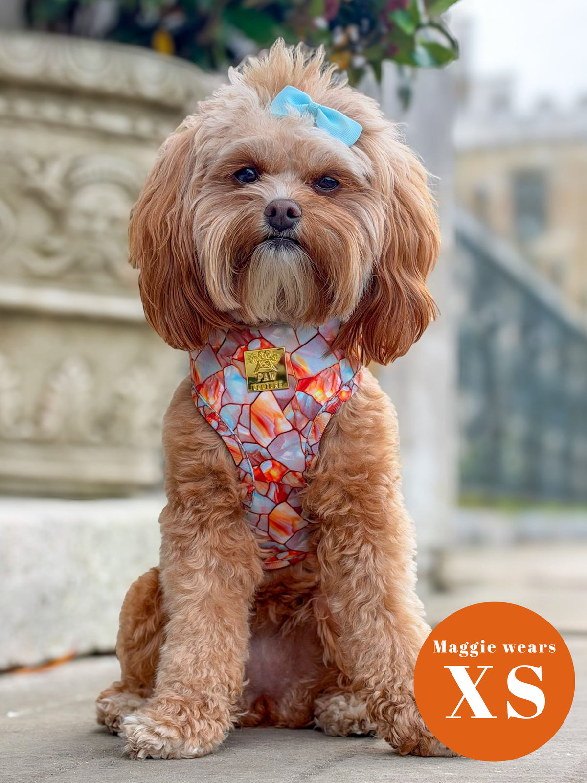 Amber & Opal Deluxe Five Piece Walkies Bundle - Save £20