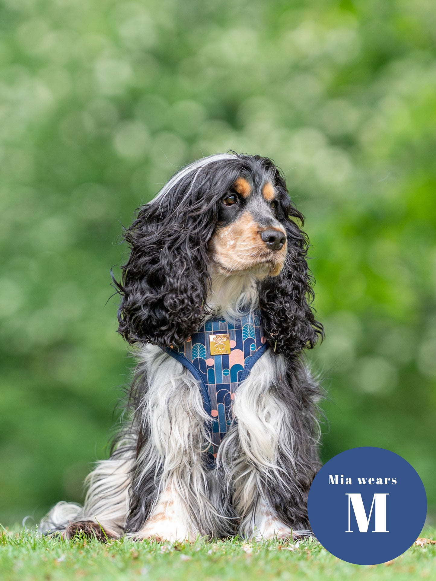Empire Deluxe Five Piece Walkies Bundle - Save £20