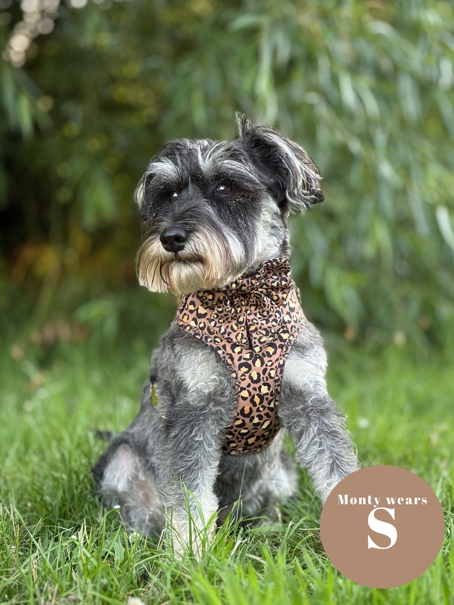 Tan Safari Deluxe Five Piece Walkies Bundle - Save £20