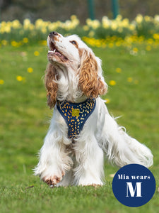 Golden Confetti Deluxe Adjustable Harness