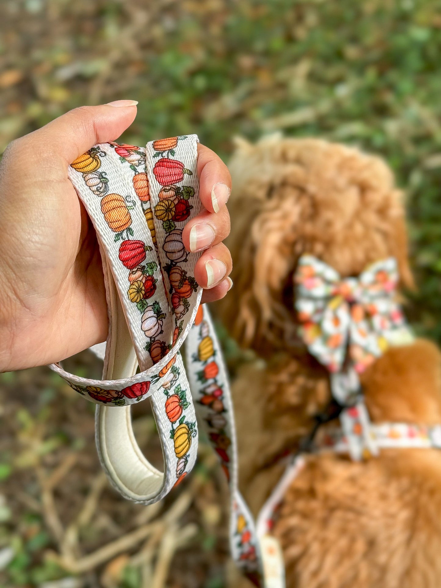 Country Pumpkins Four Piece Walkies Bundle - Save £20