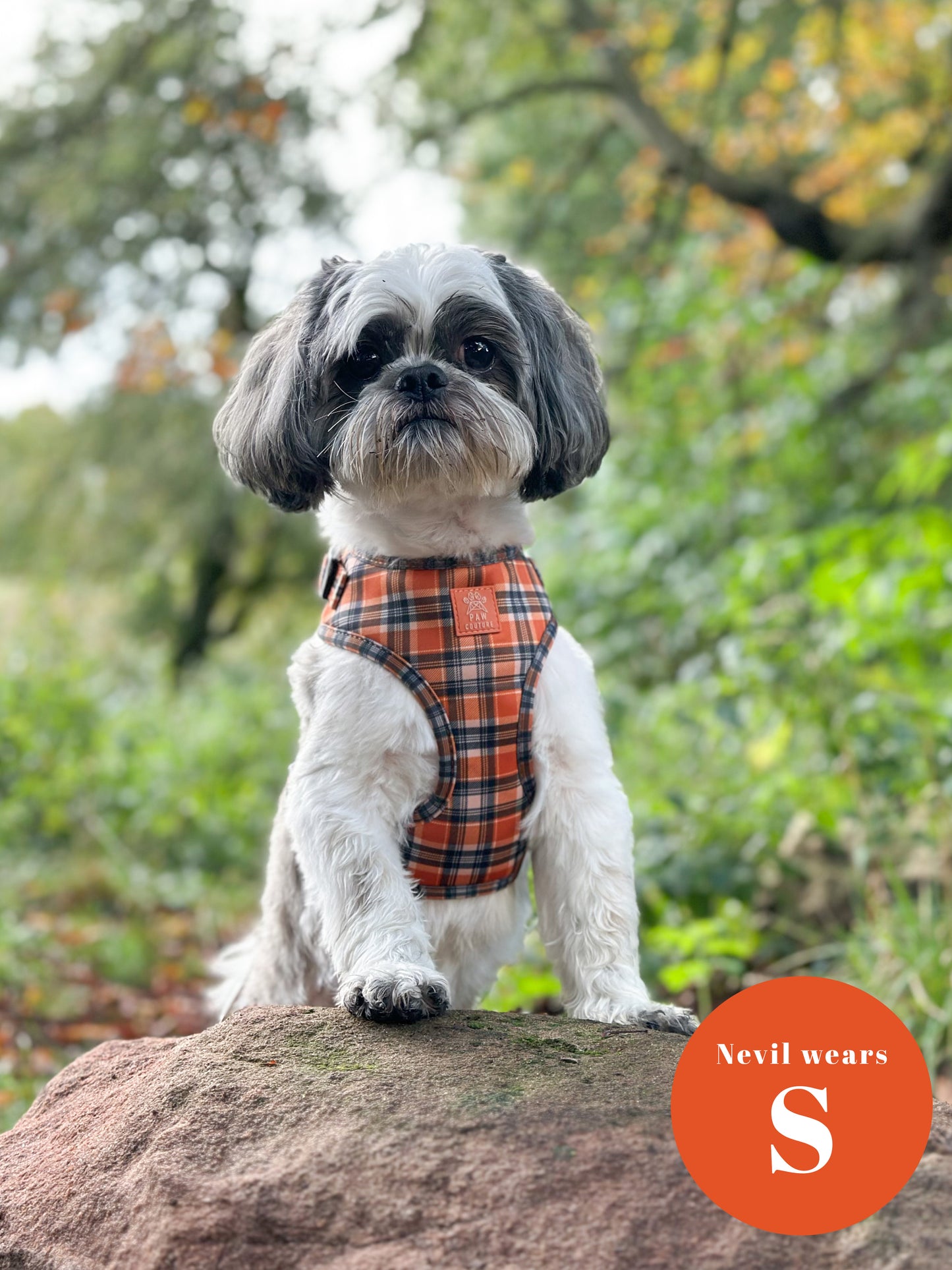 Rustic Plaid Adjustable Harness & Lead Bundle