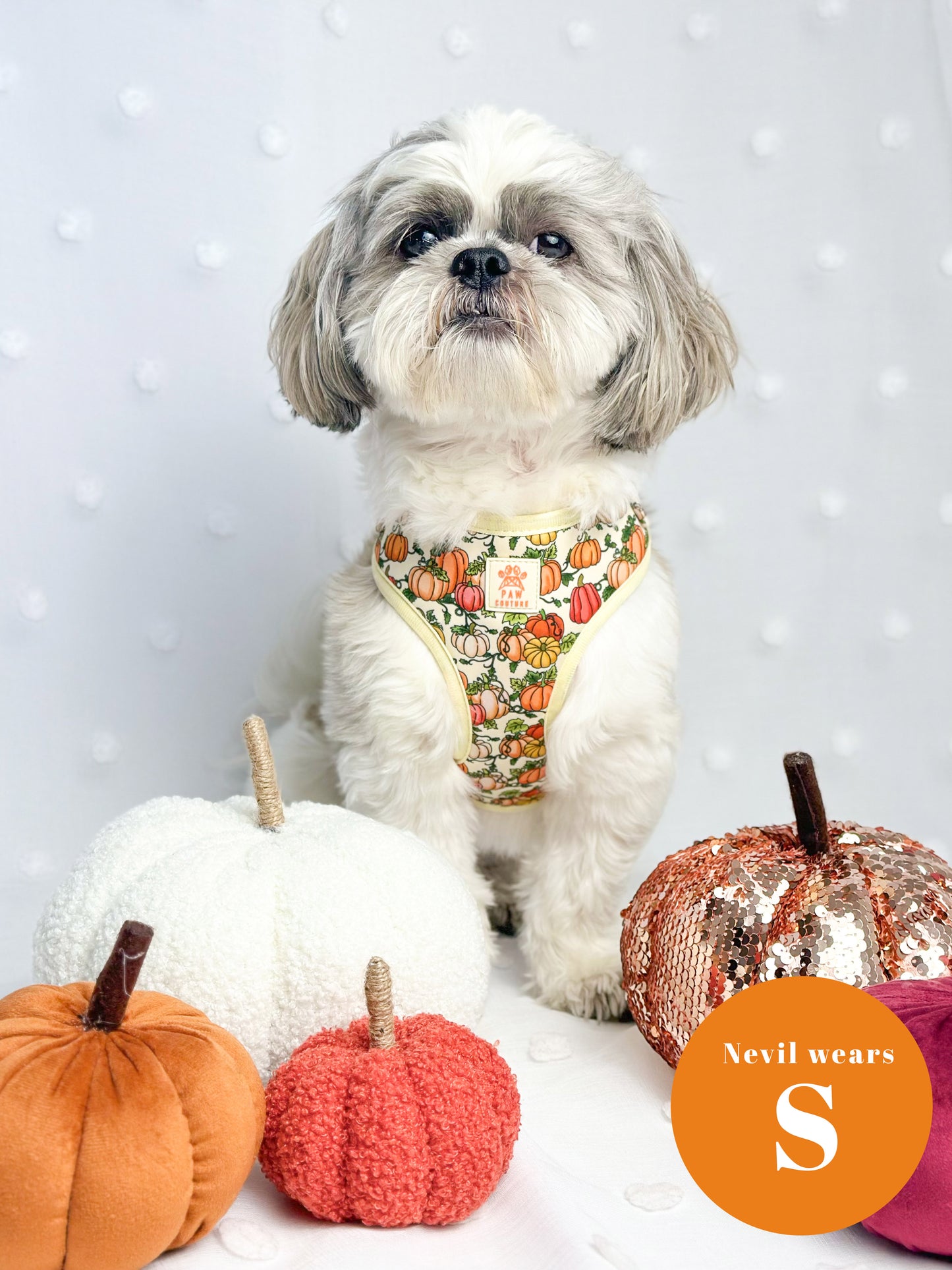 Country Pumpkins Four Piece Walkies Bundle - Save £20