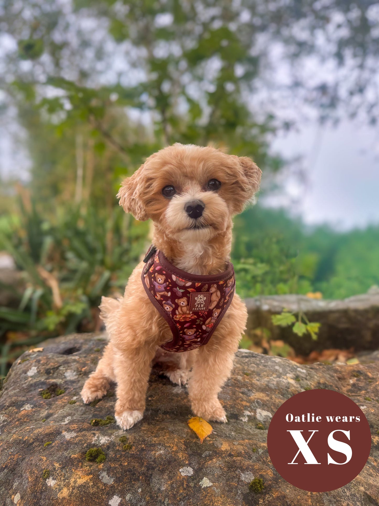 Forest Friends Adjustable Harness & Lead Bundle