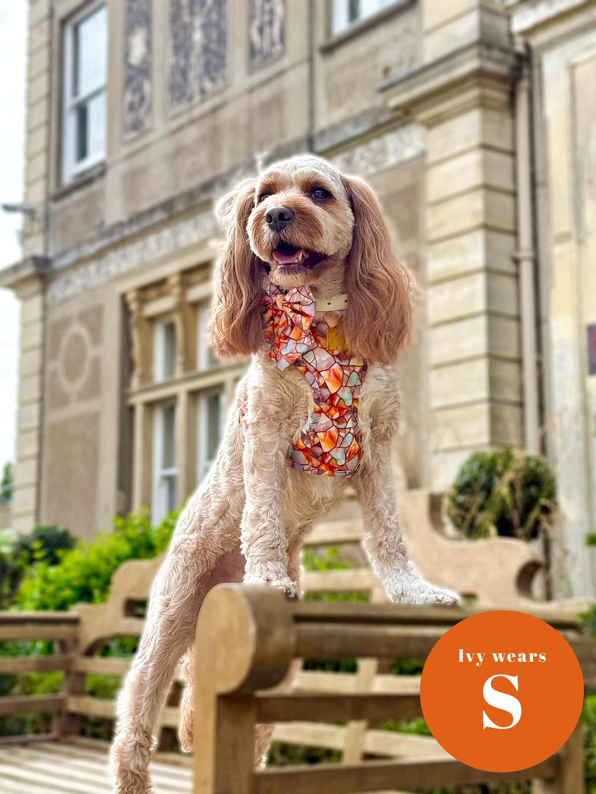 Amber & Opal Deluxe Five Piece Walkies Bundle - Save £20