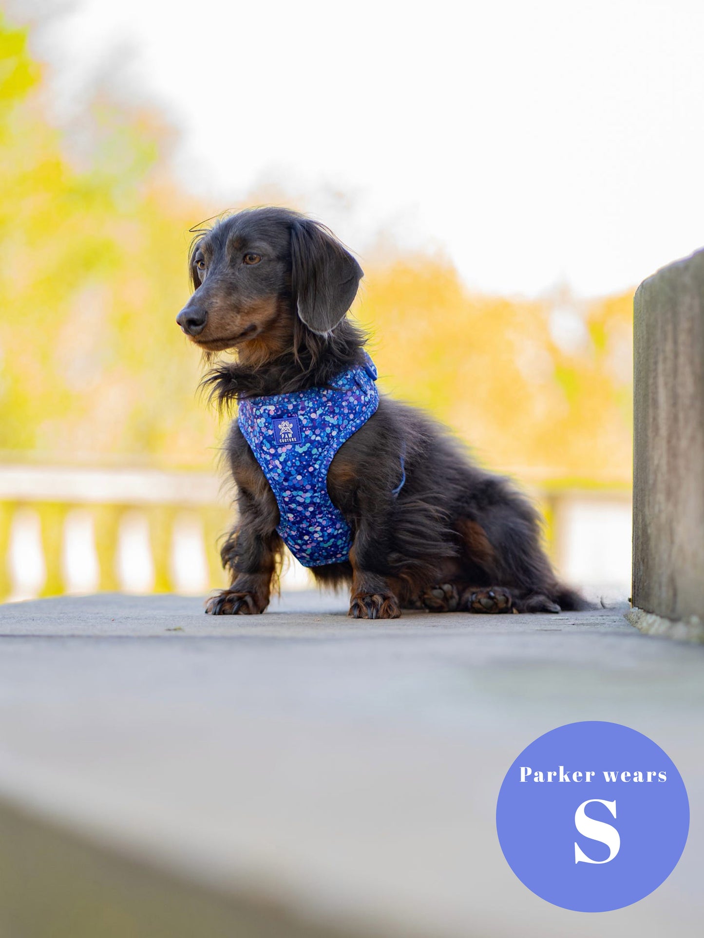 Cosmic Confetti Adjustable Harness