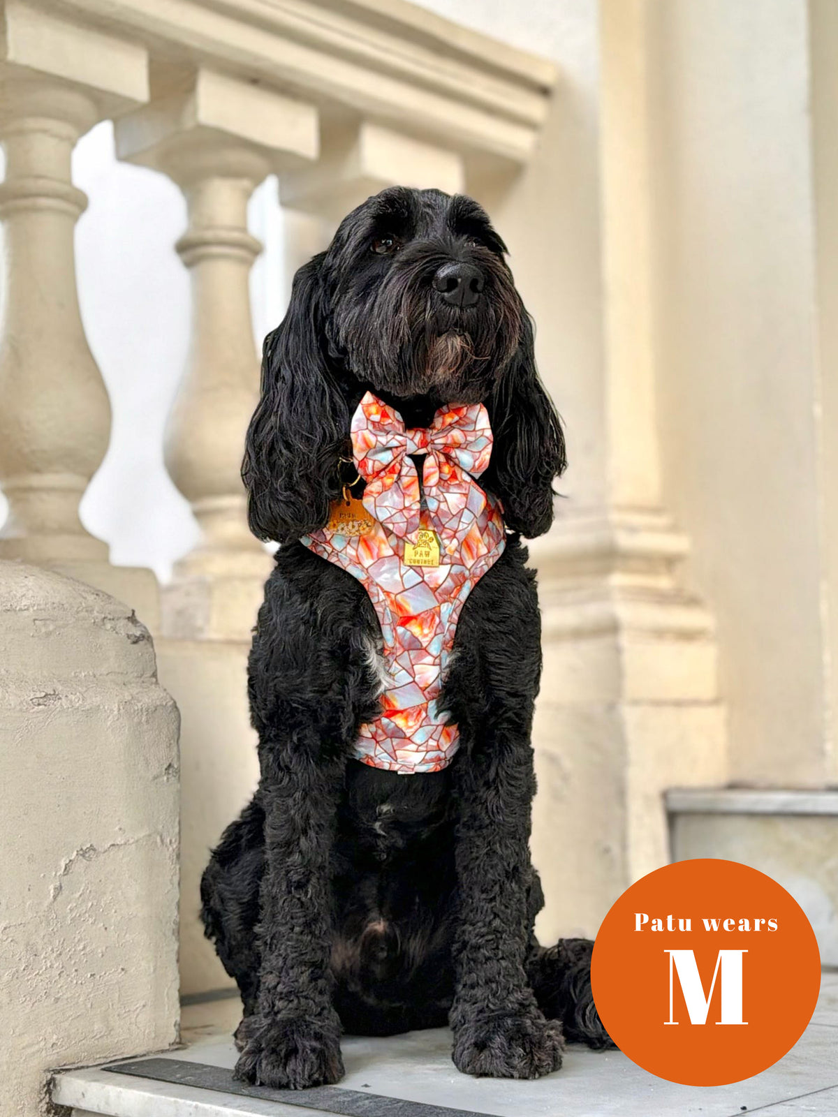 Amber & Opal Deluxe Five Piece Walkies Bundle - Save £20