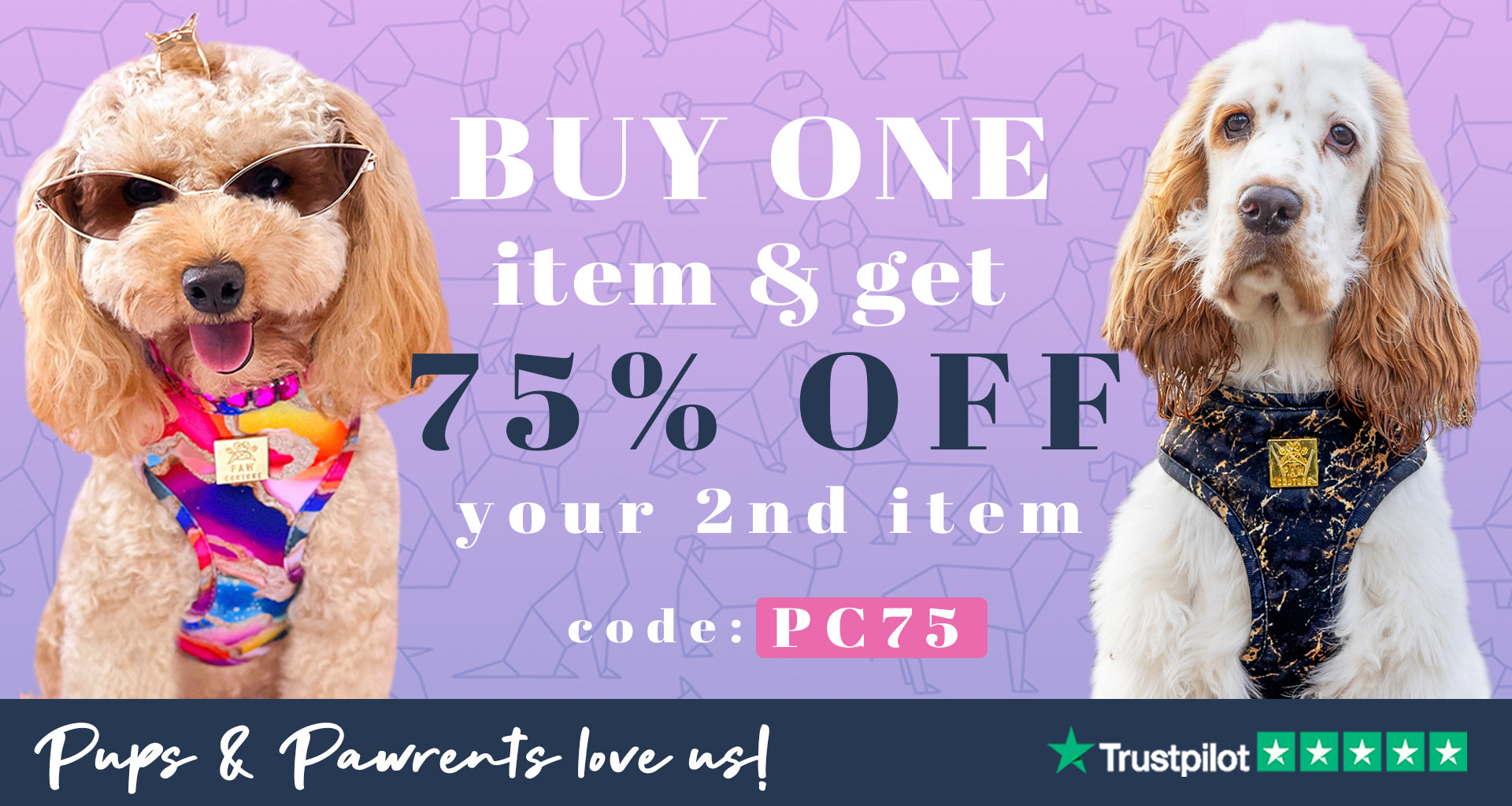 Paw Couture | The Luxury Dog Accessories Store | Dog Harnesses & More!
