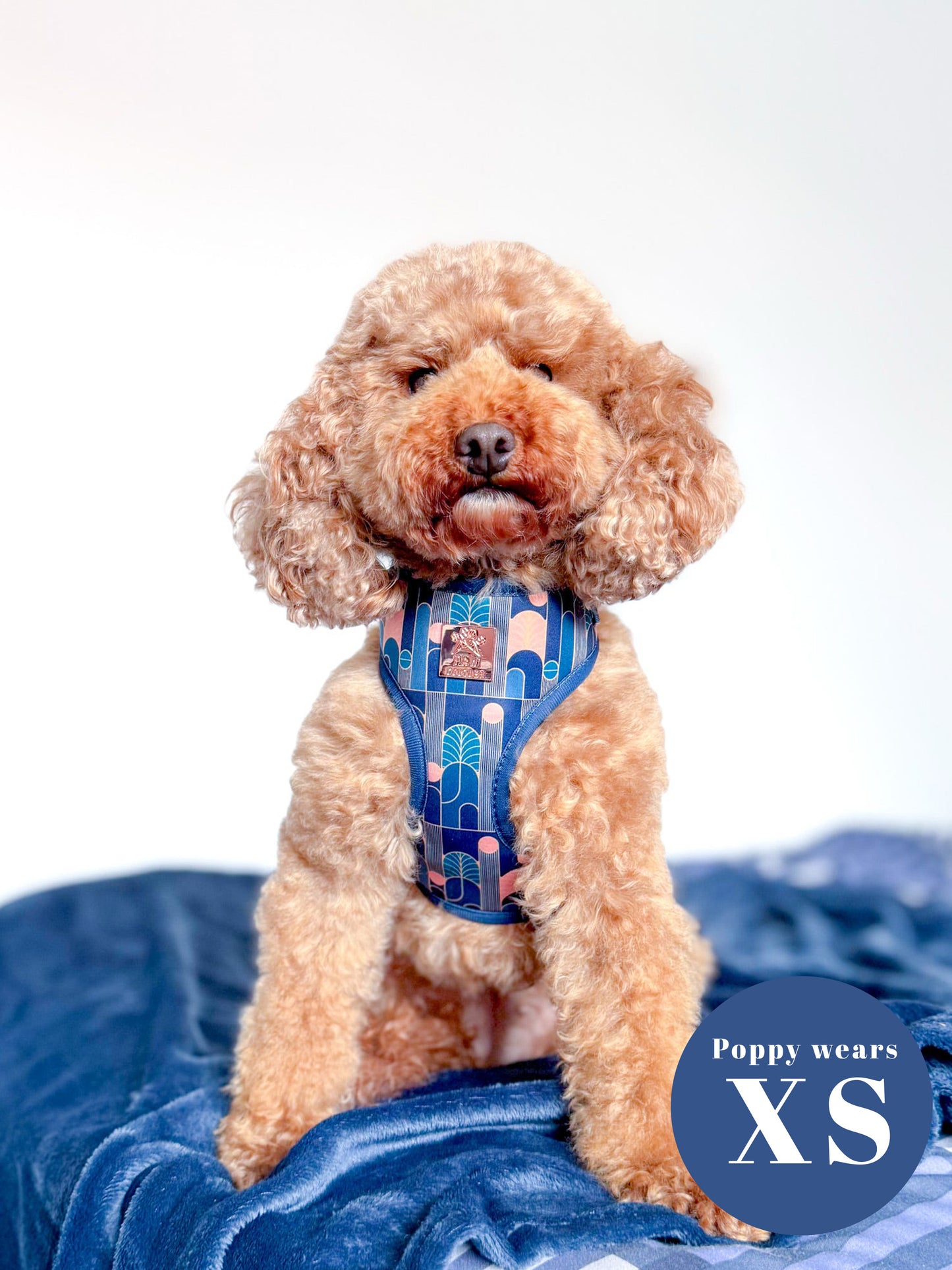 Empire Deluxe Five Piece Walkies Bundle - Save £20
