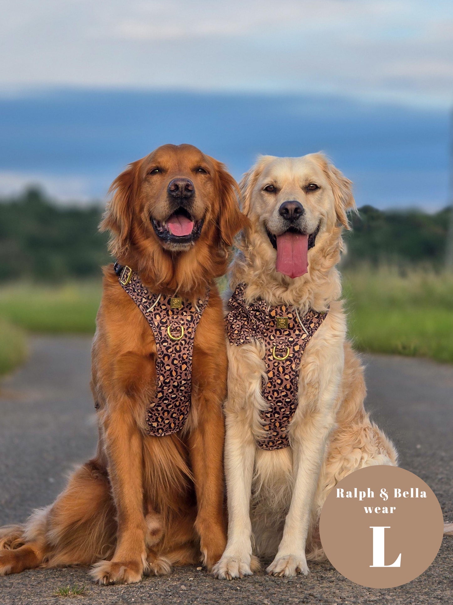 Tan Safari Deluxe Five Piece Walkies Bundle - Save £20