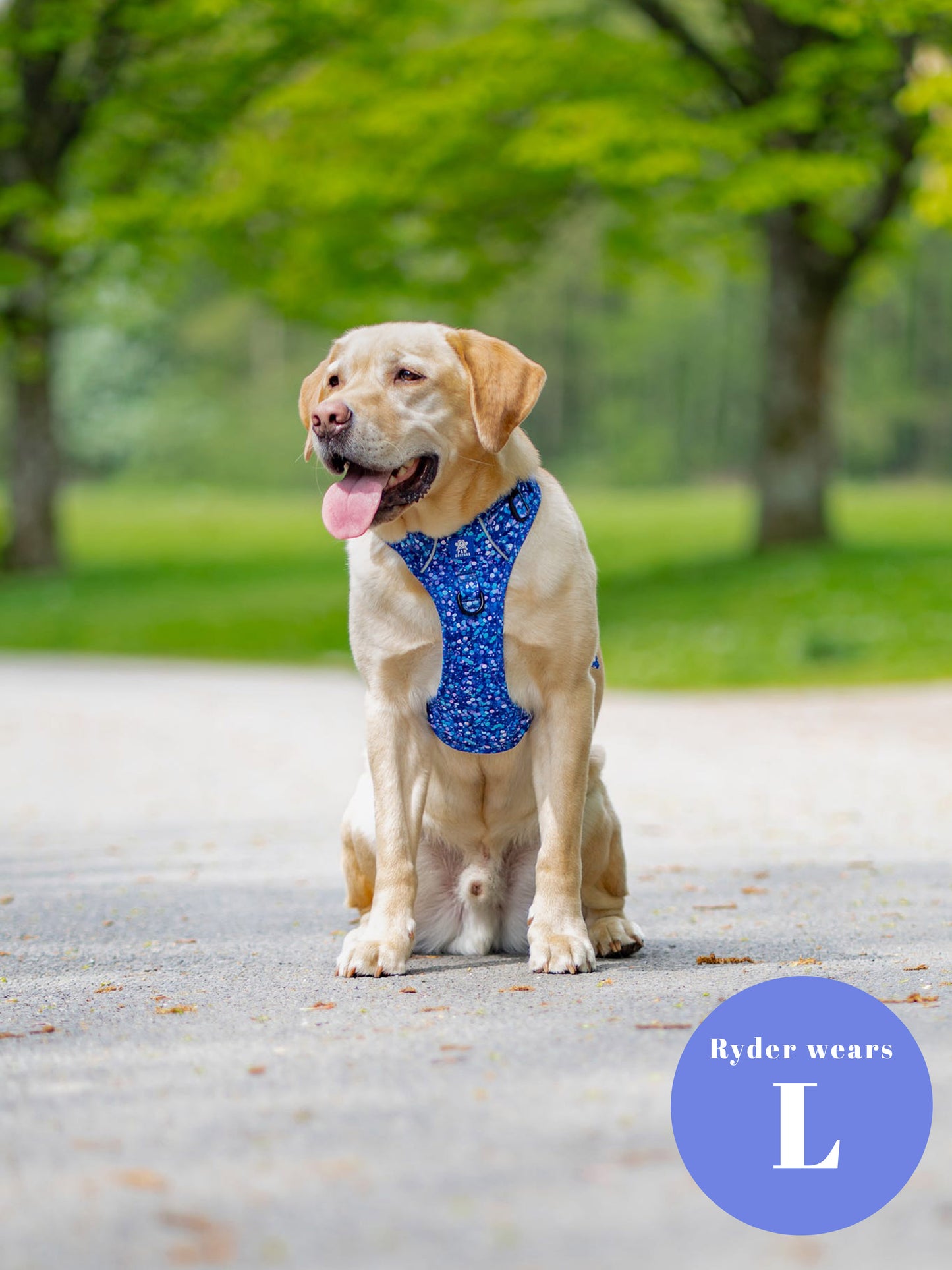 Cosmic Confetti Five Piece Walkies Bundle - Save £20