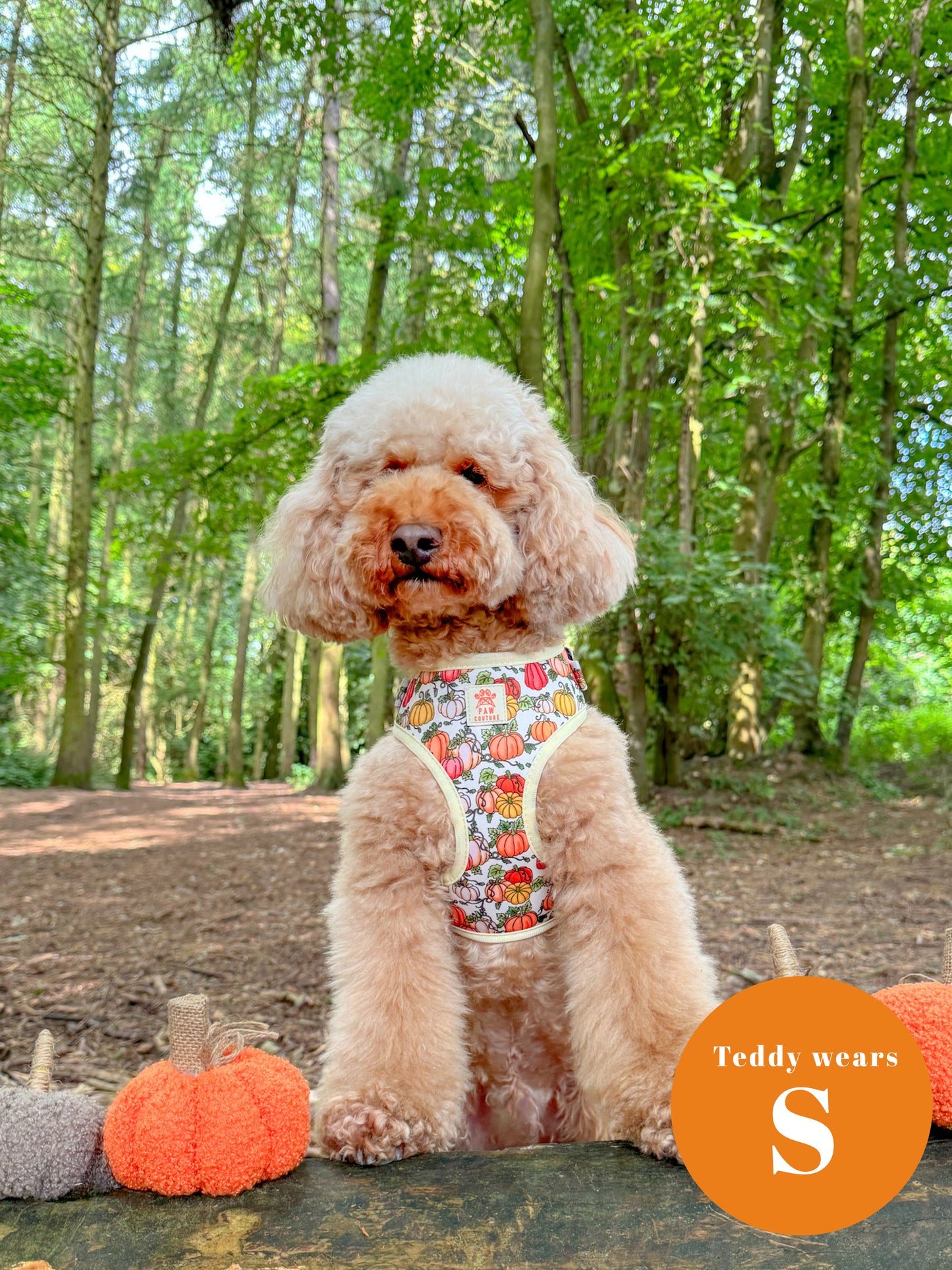 Country Pumpkins Four Piece Walkies Bundle - Save £20