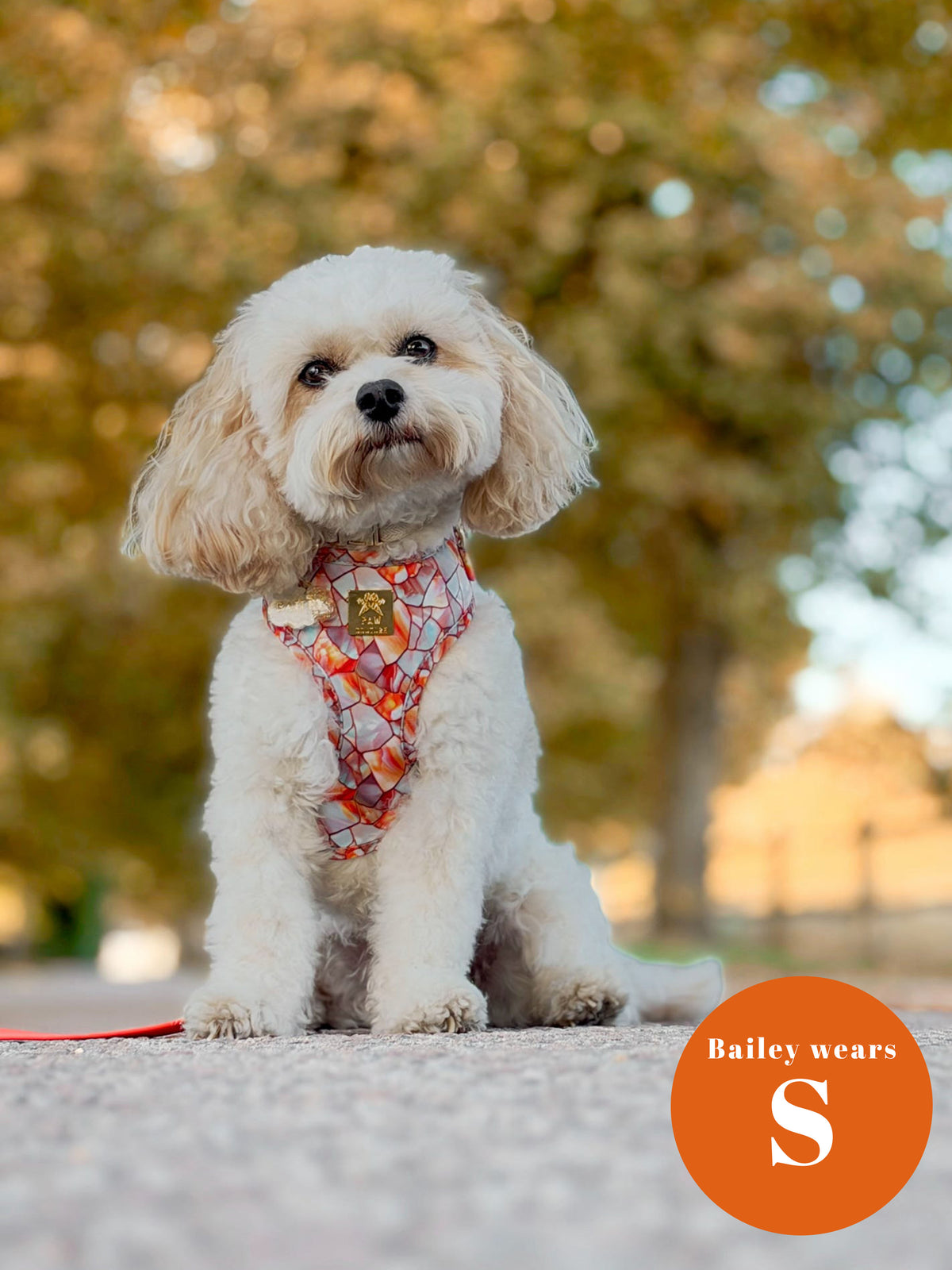 Amber & Opal Deluxe Five Piece Walkies Bundle - Save £20