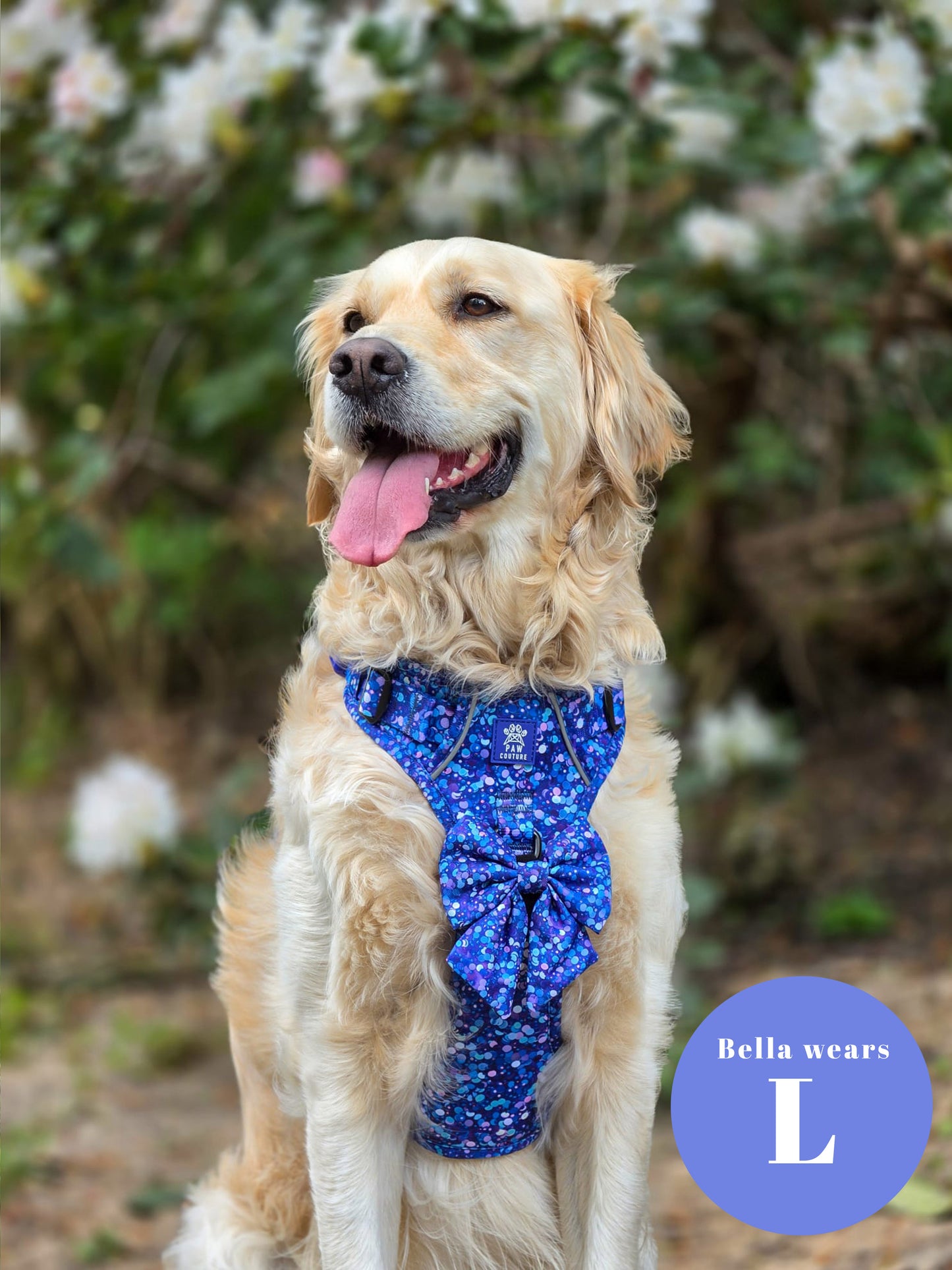 Cosmic Confetti Five Piece Walkies Bundle - Save £20