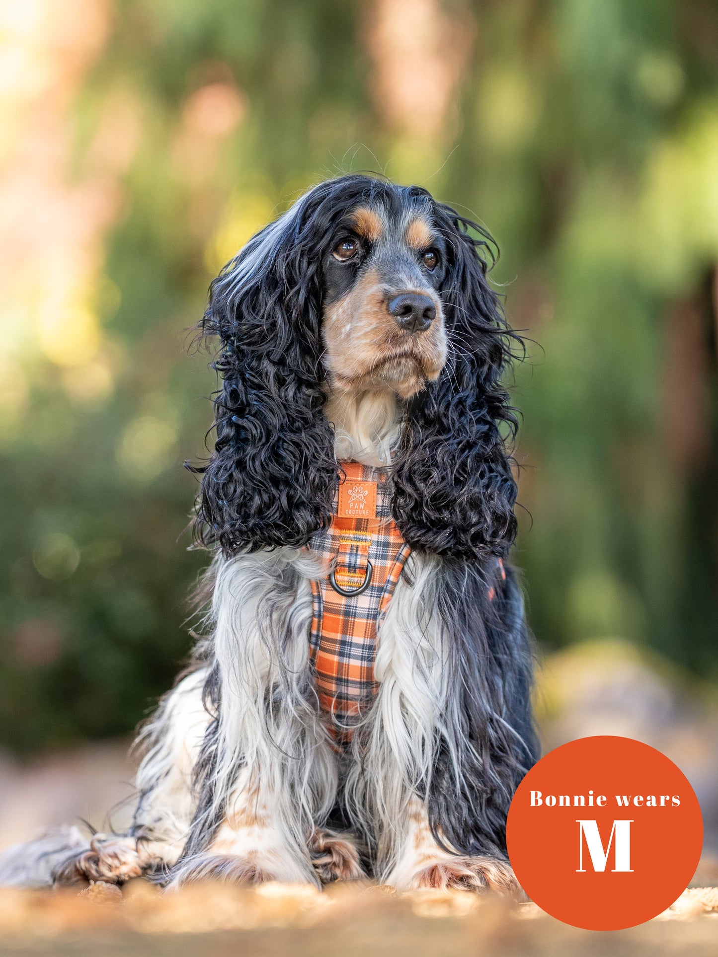 Rustic Plaid Step-in Harness & Lead Bundle