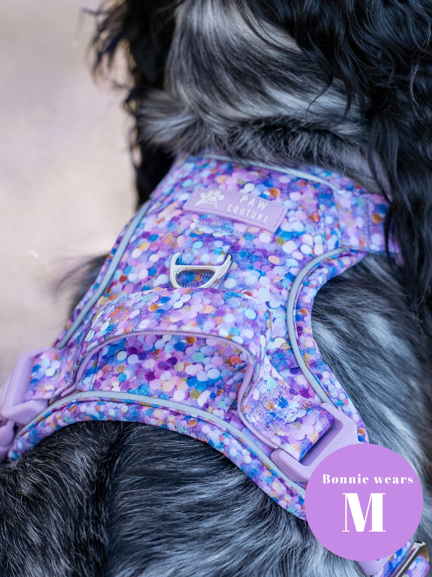 Confetti Five Piece Walkies Bundle - Save £20