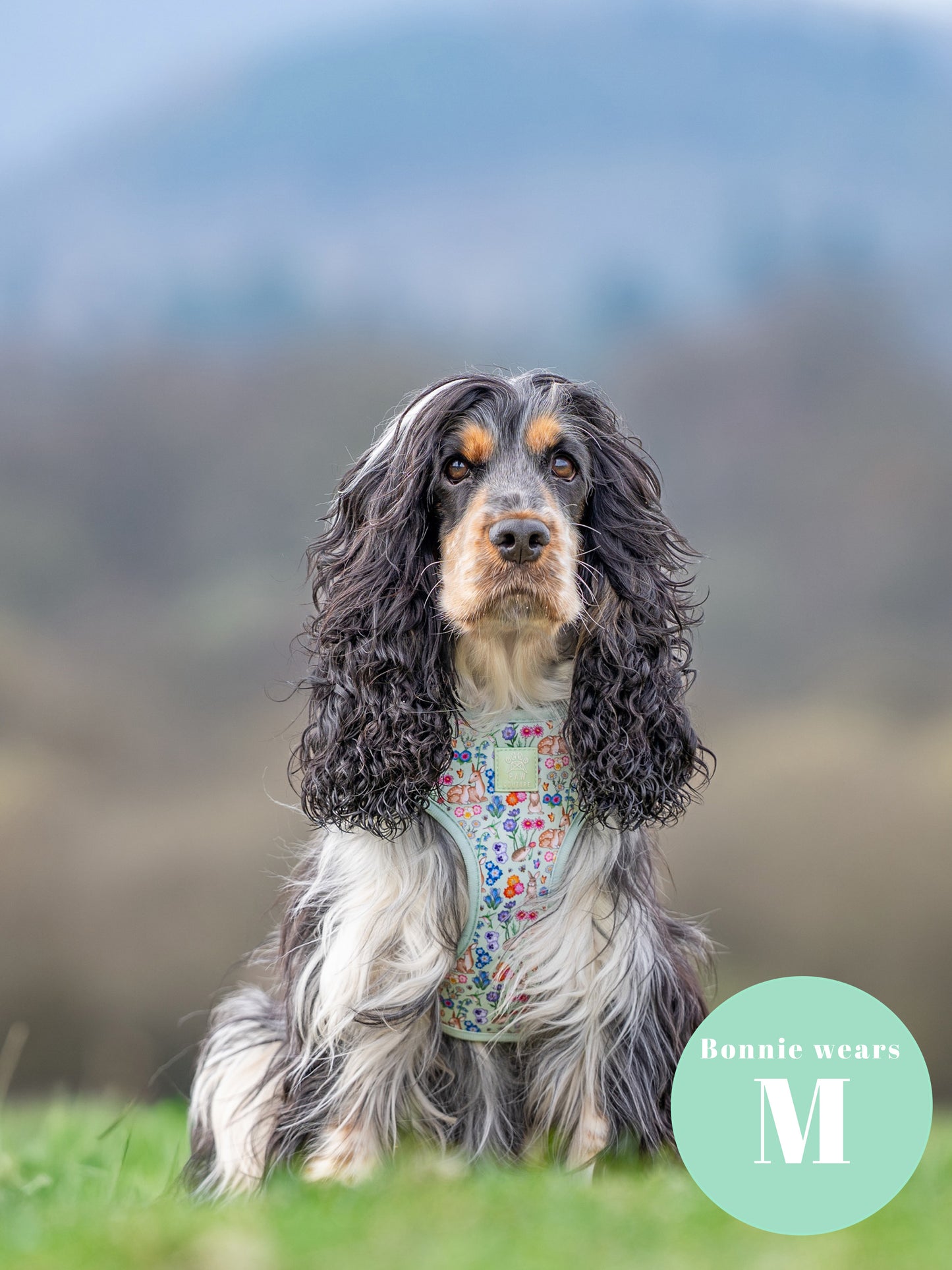 Flora & Fauna Adjustable Harness