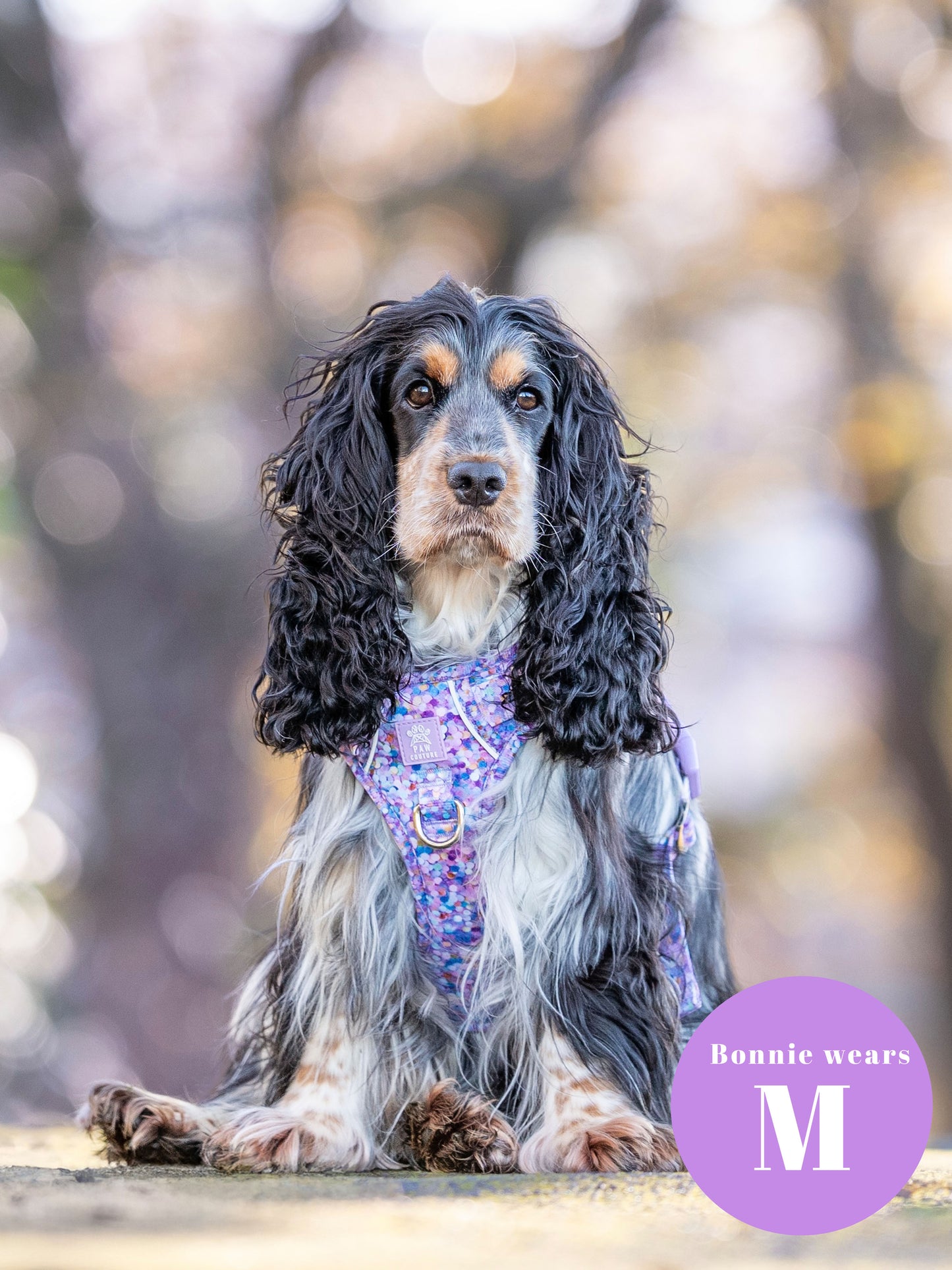 Confetti Five Piece Walkies Bundle - Save £20