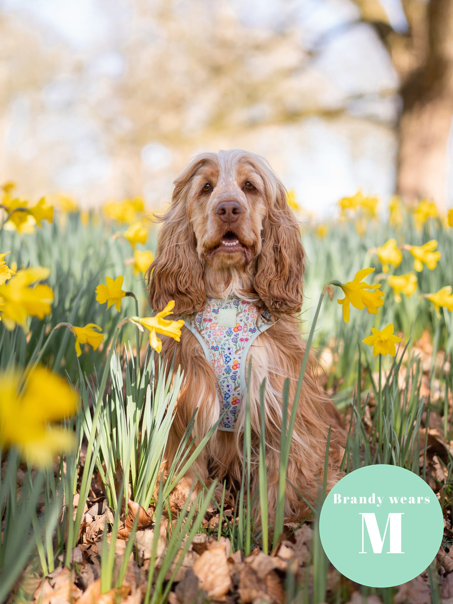 Flora & Fauna Adjustable Harness