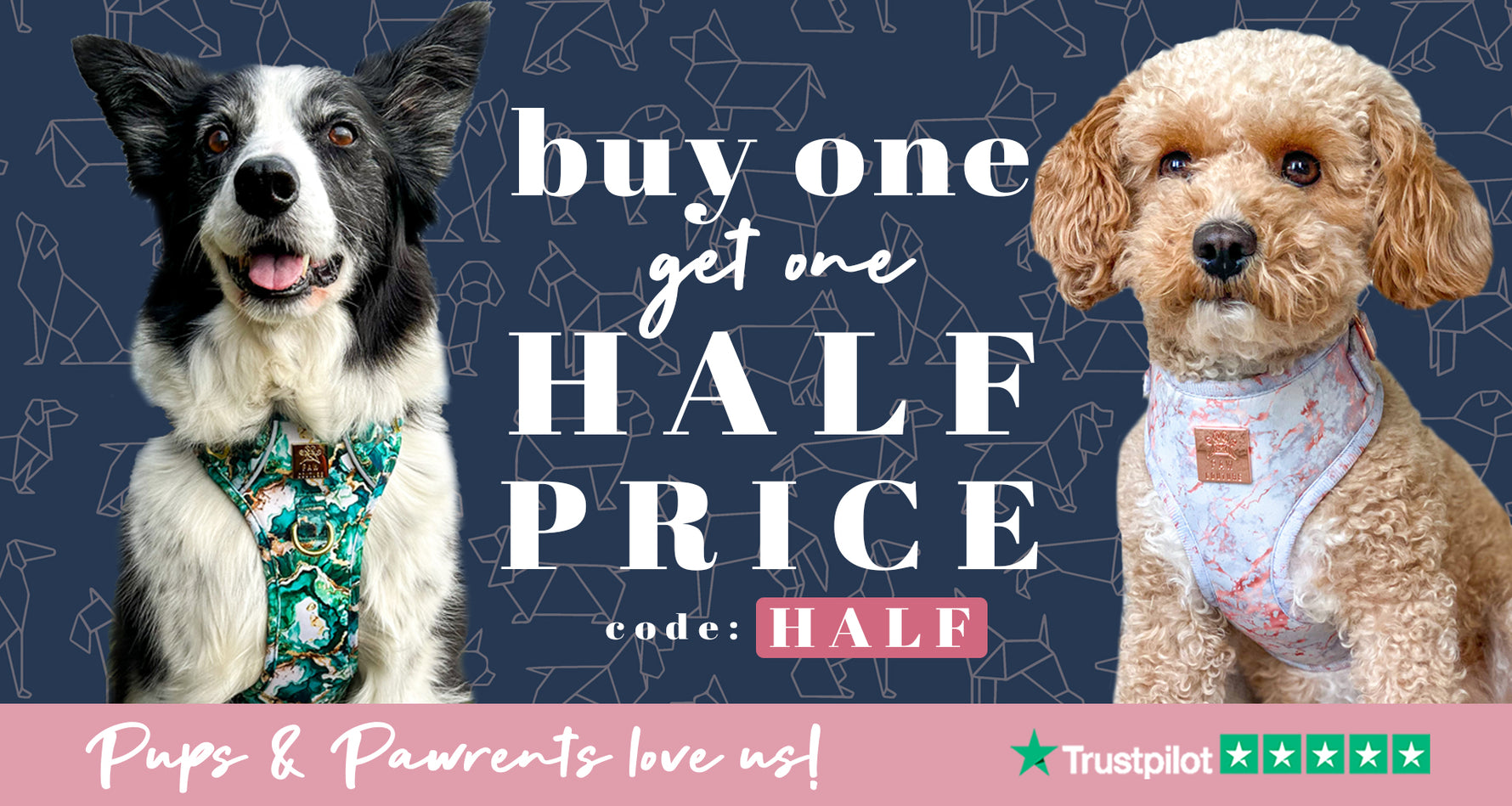 Paw Couture | The Luxury Dog Accessories Store | Dog Harnesses & More!