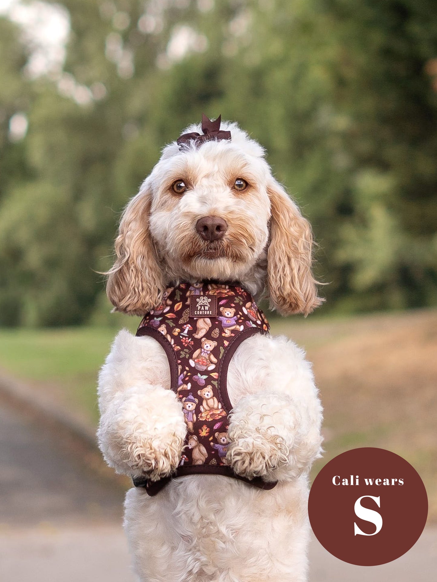 Forest Friends Adjustable Harness & Lead Bundle