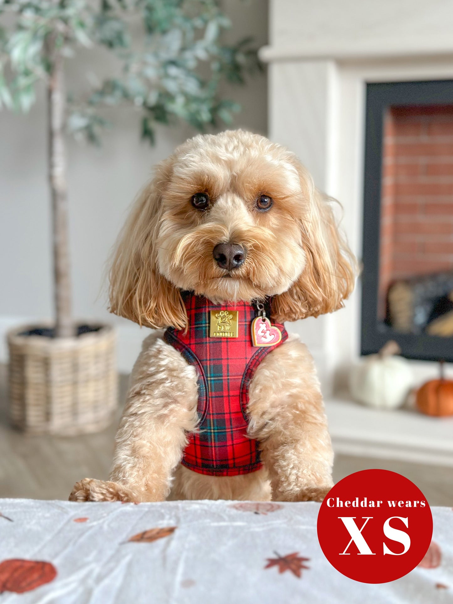 *LESS THAN PERFECT* Tartan Deluxe Adjustable Harness